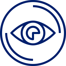 Vision Icon